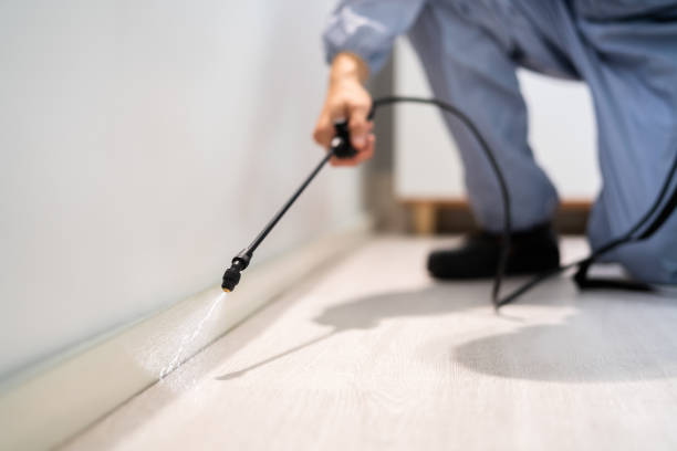 Licensed Pest Control service in Plains, MT - Show Me Pest Control